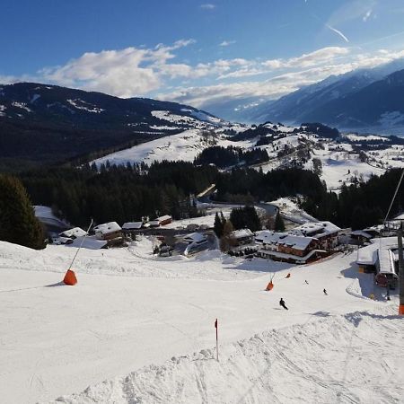 Panorama Chalet Миттерзилль Экстерьер фото